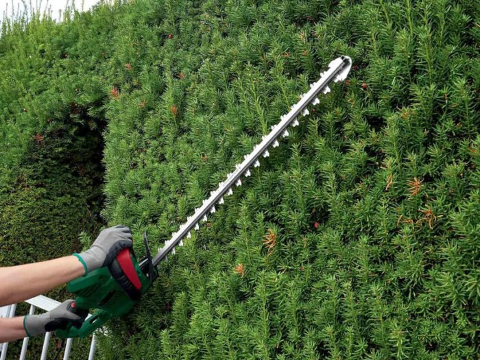 PARKSIDE® TAILLE-HAIE ÉLECTRIQUE 650 W - Image 2